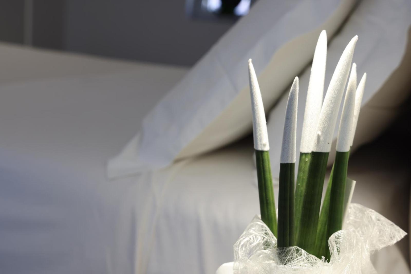 טרמולי Ruffini Rooms מראה חיצוני תמונה